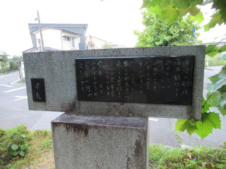 zK̓al